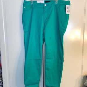 Vibrant Colored Denim